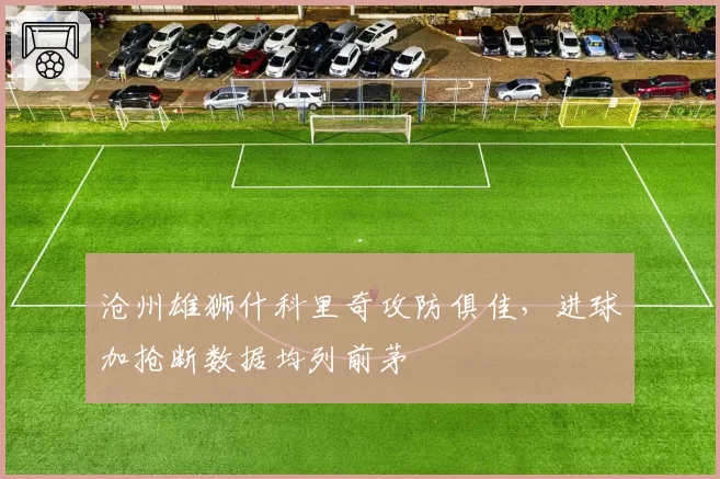 沧州雄狮什科里奇攻防俱佳,进球加抢断数据均列前茅