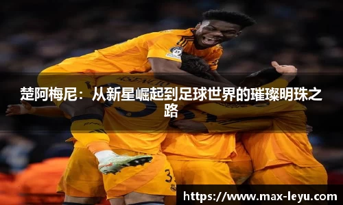 乐鱼体育