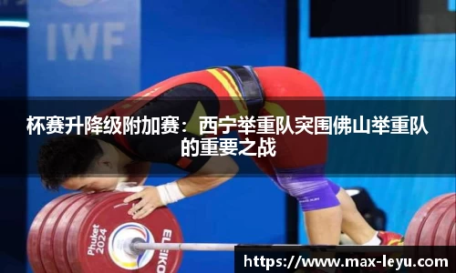 乐鱼体育官网